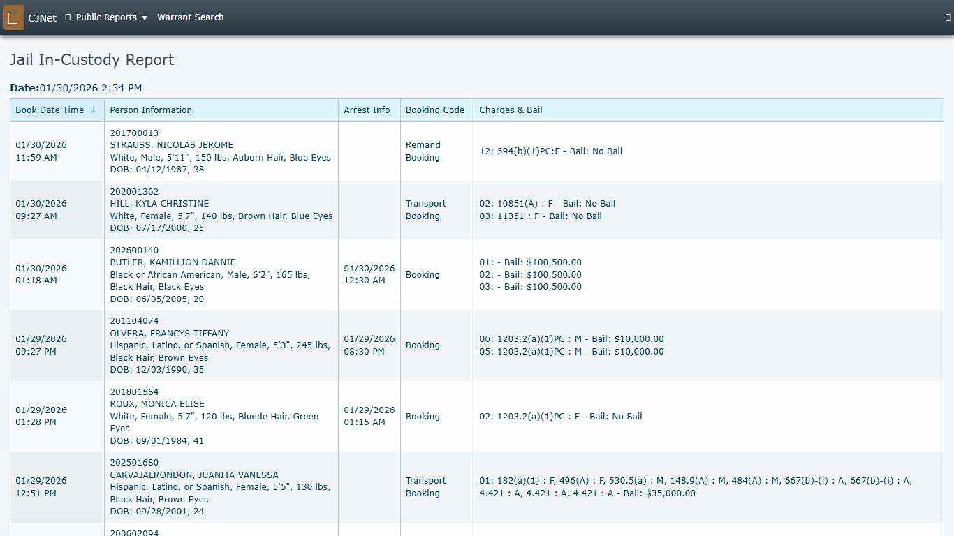 Jail In-Custody Report CJNet